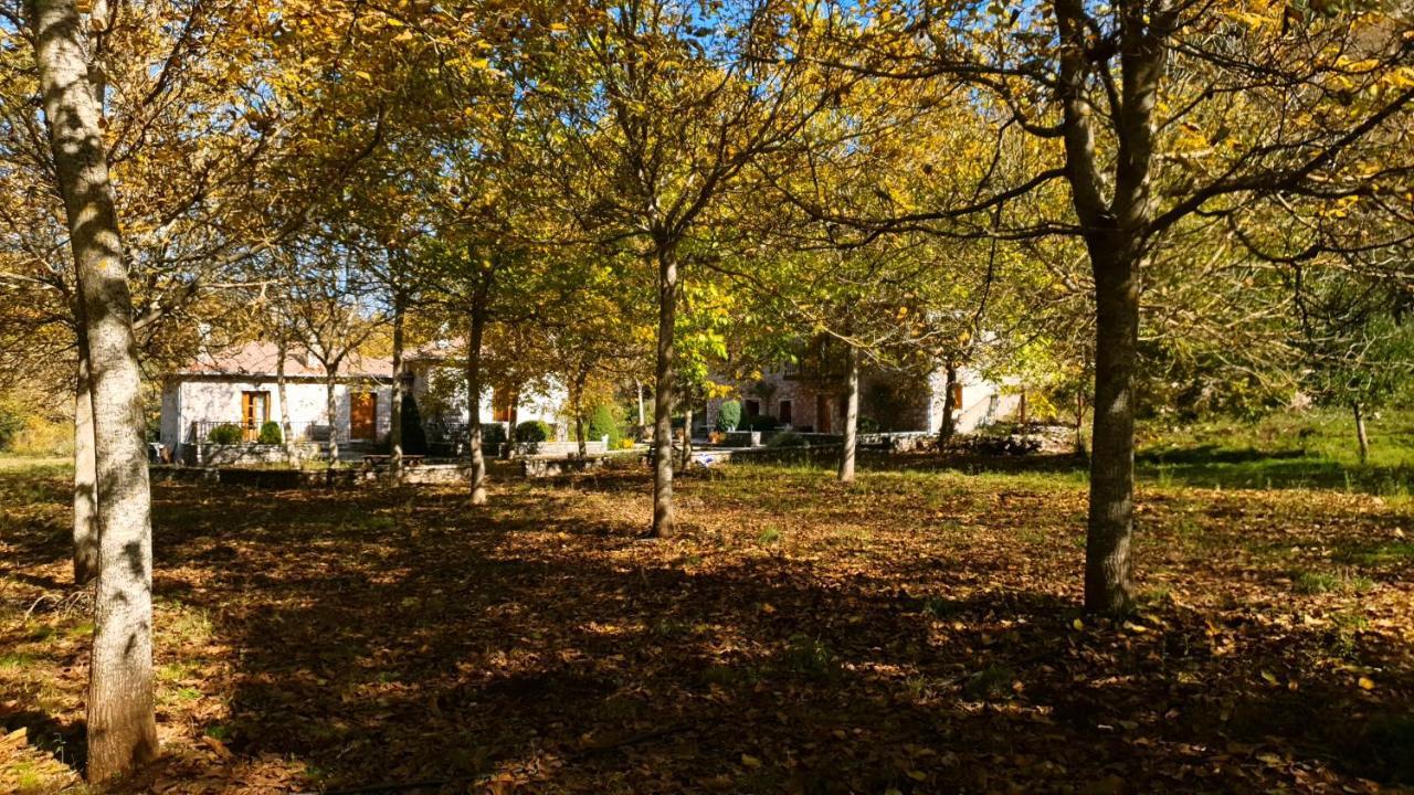 Andrea Sofi Guesthouse Dimitsana Luaran gambar
