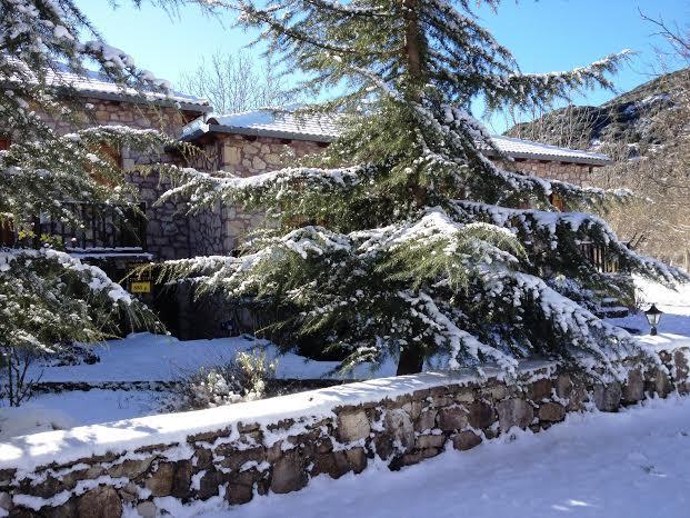 Andrea Sofi Guesthouse Dimitsana Luaran gambar
